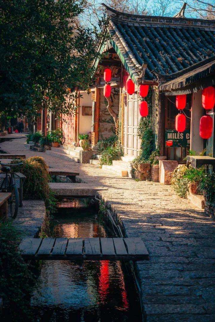 拯救机灵鸟